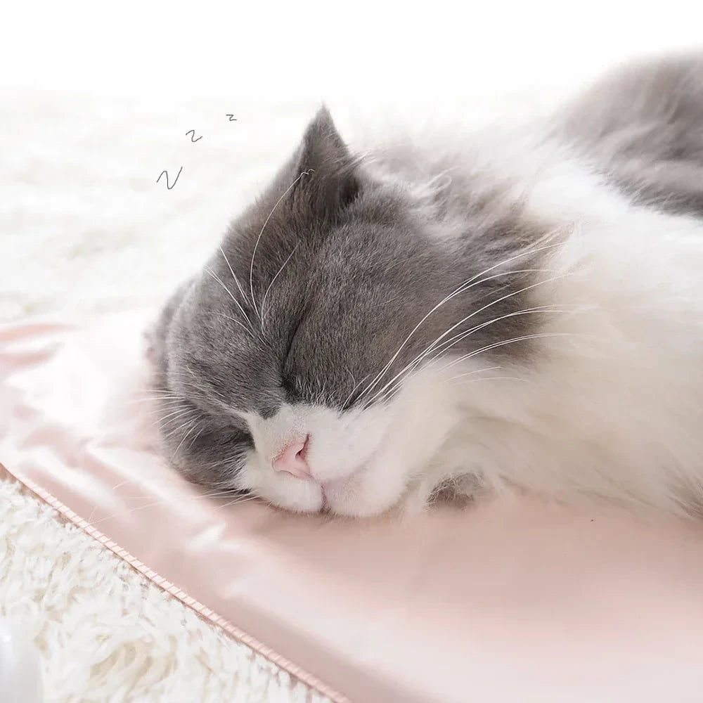 Waterproof Heated Pet Mat
